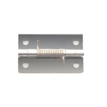 Guden Photo of 1117-02 Spring Hinge