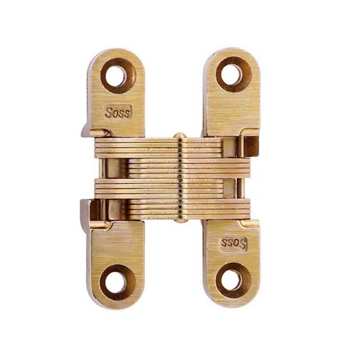 Guden Photo of 205-04 Soss Hinge