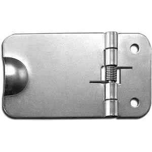 Guden Photo of 1645-02 Spring Hinge